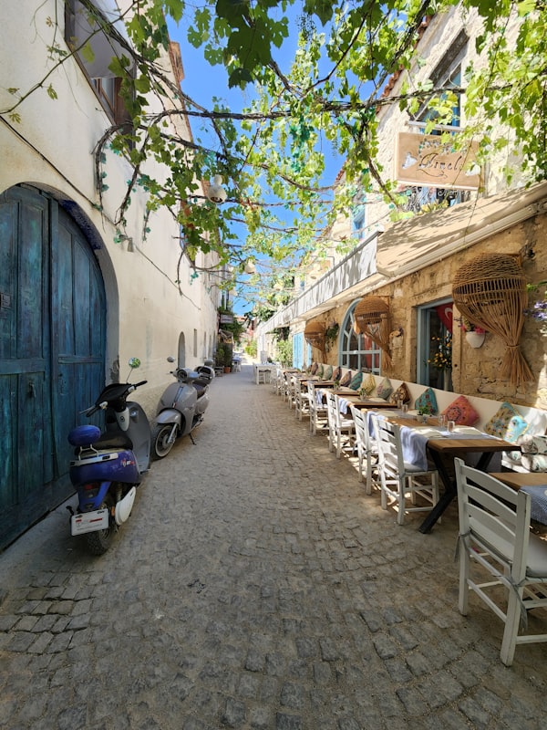 Poetische Reise zum Frieden mit der Natur